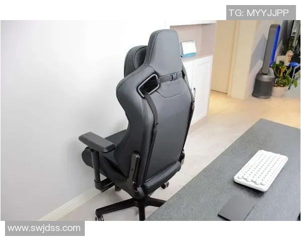 电竞比分与和平精英装备选购指南推荐优质电竞椅提升游戏体验实时新闻